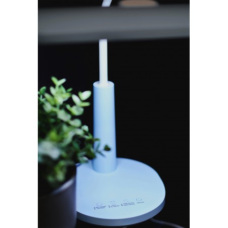 Lampka biurkowa K-BL1521 NIEBIESKI z serii MILO Kaja Lighting